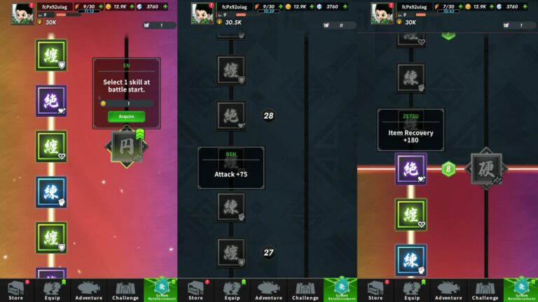 Hunter x Hunter: Nen x Survivor